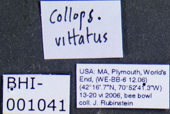 Media type: image;   Entomology 612674 Aspect: labels